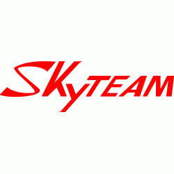 SKYTEAM